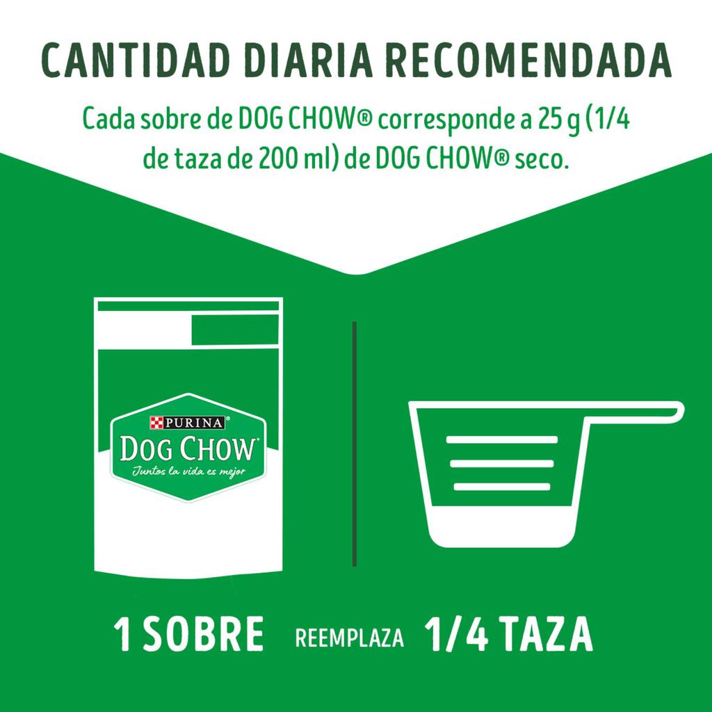 Dog Chow Comida Húmeda para Perro Sabores Surtidos 20 Unidades 100 g / 3.5 oz