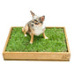 Sanitario Natural Para Mascotas